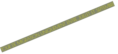 TOUR DE MIGRATION UNIQUEMENT ENTRE JUILLET ET SEPTEMBRE