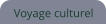 Voyage culturel