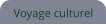 Voyage culturel