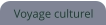 Voyage culturel