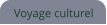 Voyage culturel
